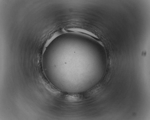 X0000111810567200907231237