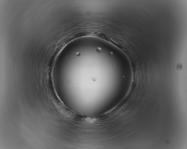 X0000111810570200907231237