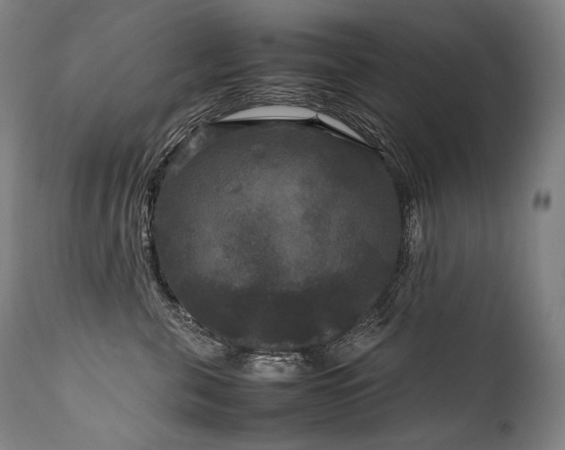 X0000111810571200907231237