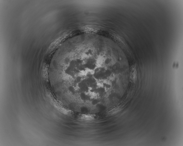 X0000111810573200907231237