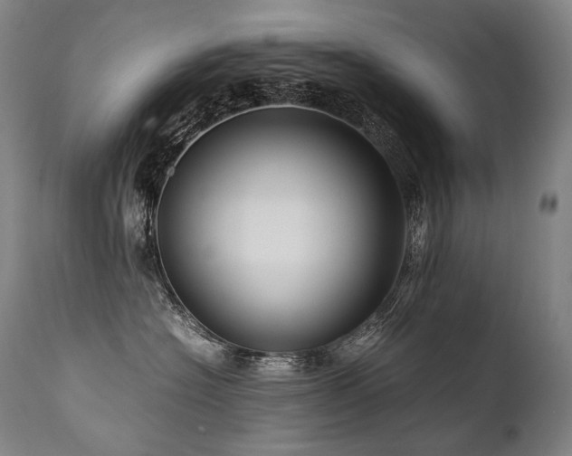 X0000111810574200907231237