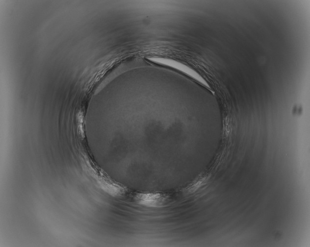 X0000111810575200907231237