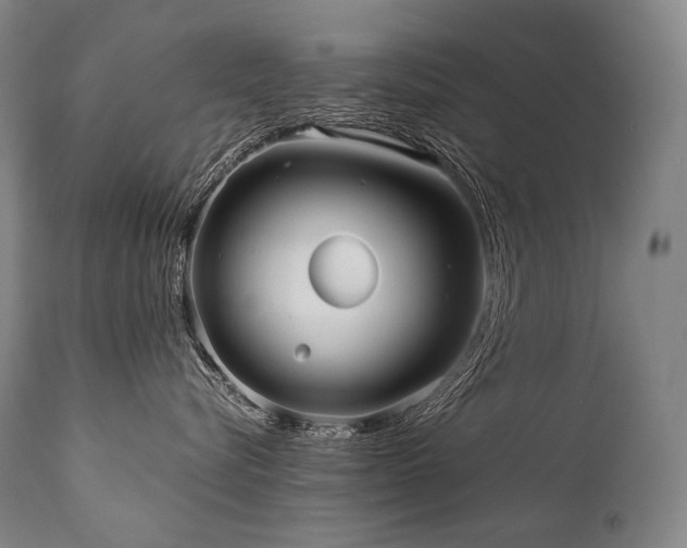 X0000111810576200907231237