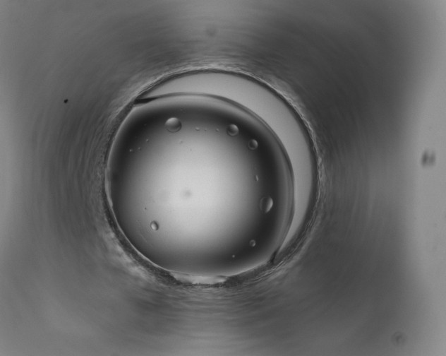X0000111810577200907231236