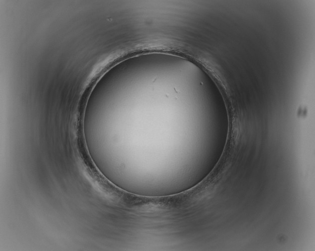 X0000111810578200907231236