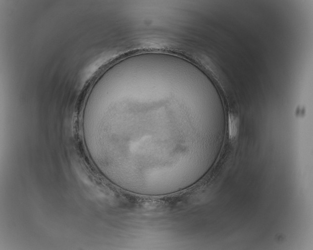 X0000111810579200907231236