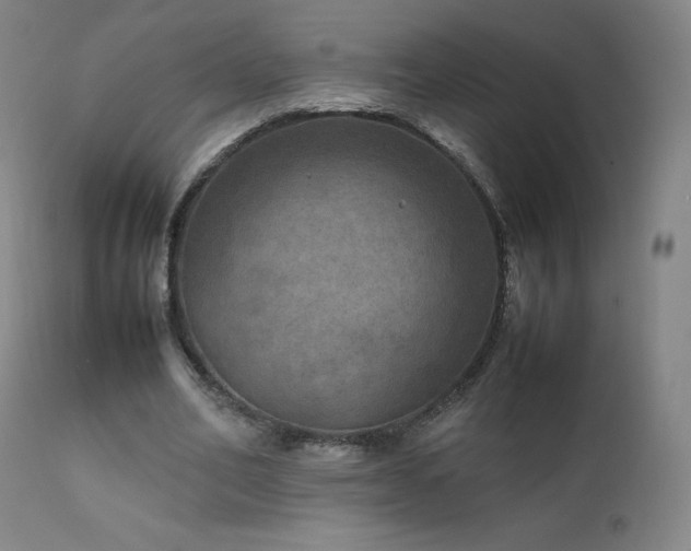 X0000111810582200907231236