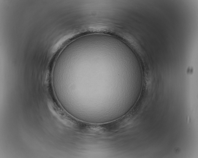 X0000111810583200907231236