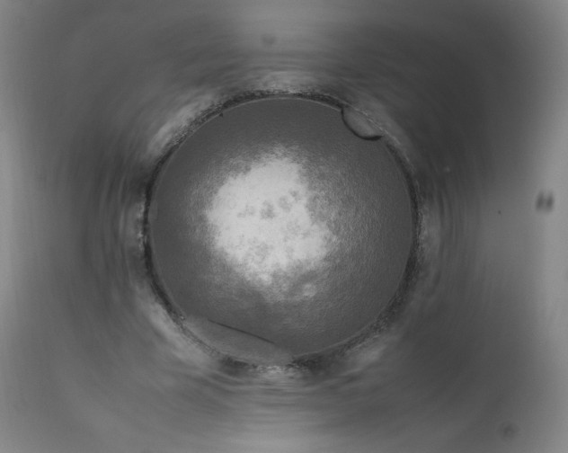 X0000111810585200907231236