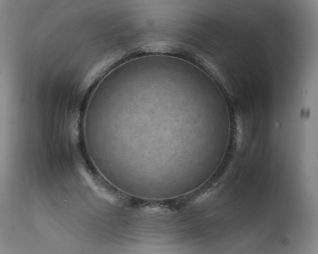 X0000111810586200907231236