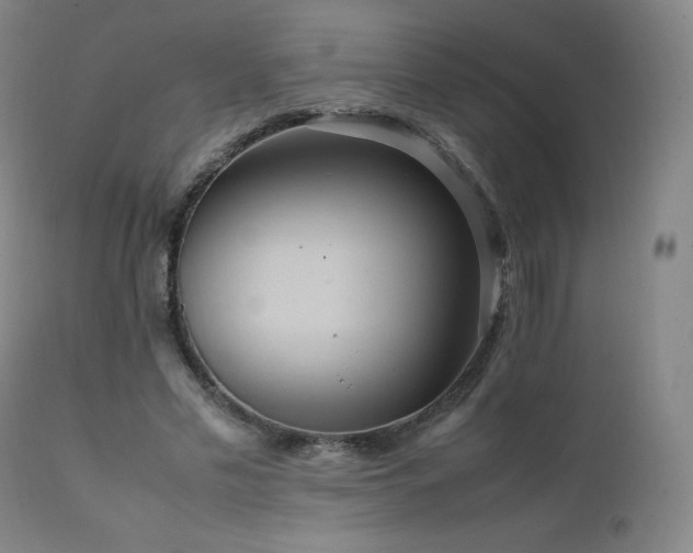 X0000111810589200907231236