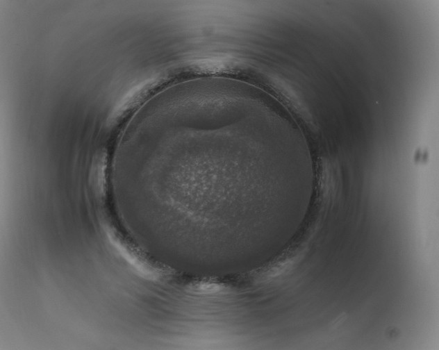 X0000111810590200907231236