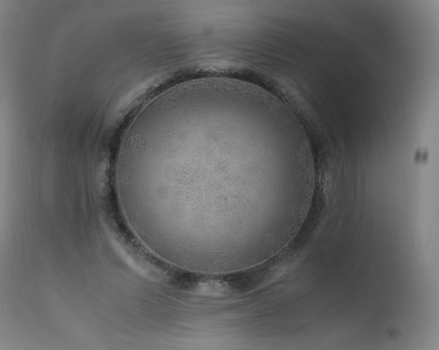X0000111810591200907231236