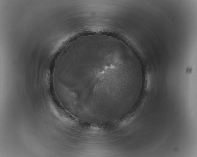 X0000111810592200907231236