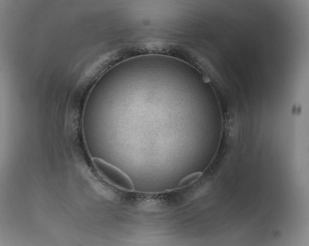 X0000111810593200907231236