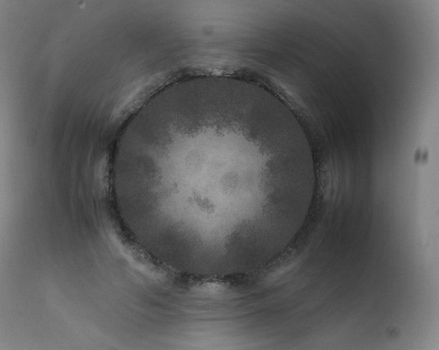 X0000111810594200907231236