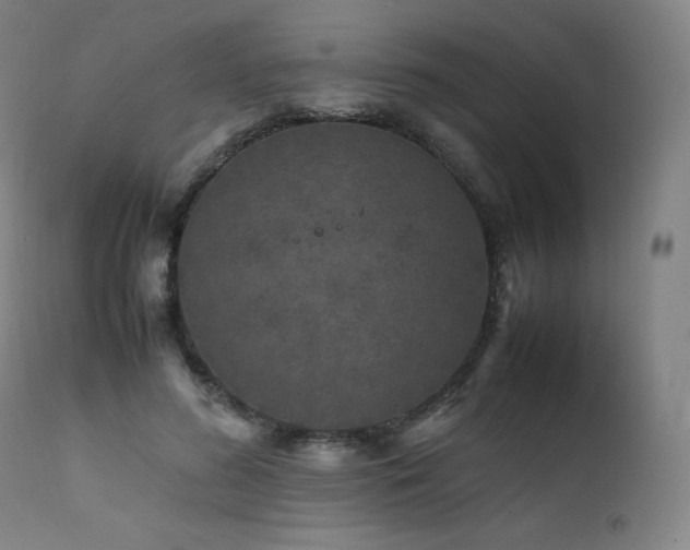 X0000111810596200907231236