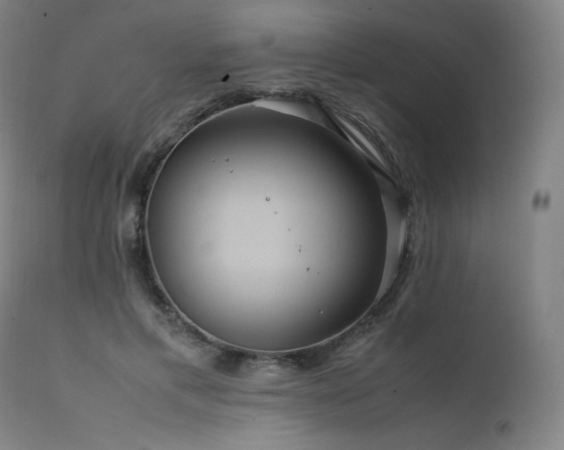 X0000111810597200907231236