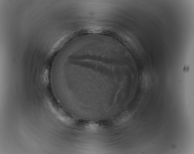 X0000111810598200907231236