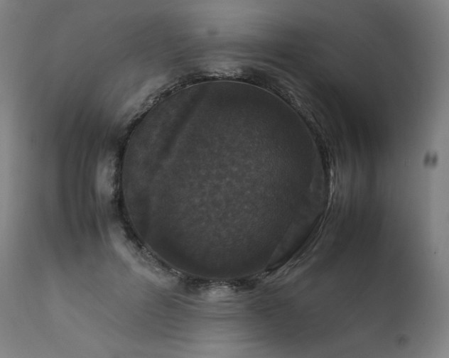 X0000111810600200907231236