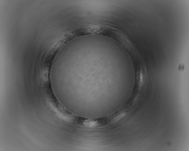 X0000111810602200907231236