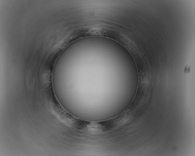 X0000111810603200907231236