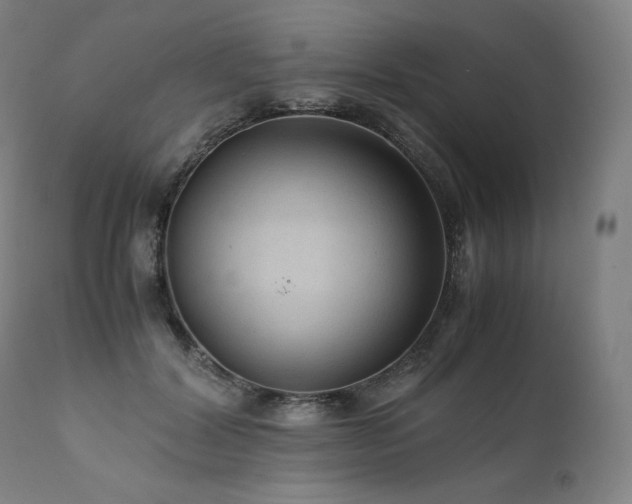 X0000111810604200907231236
