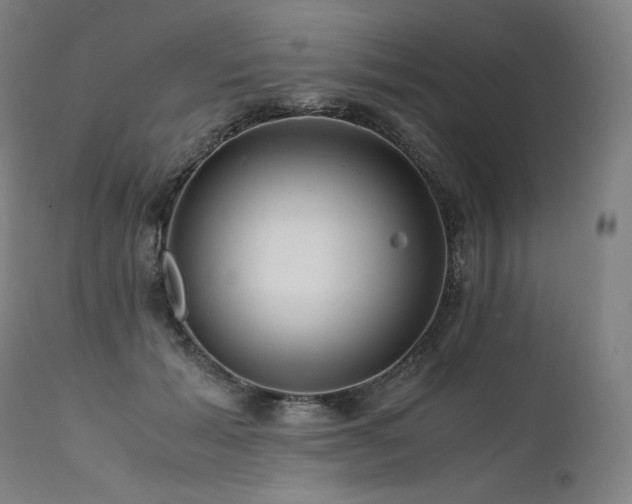 X0000111810605200907231236