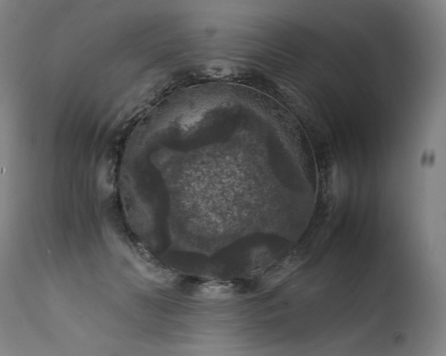 X0000111810606200907231236