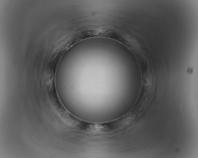 X0000111810607200907231236