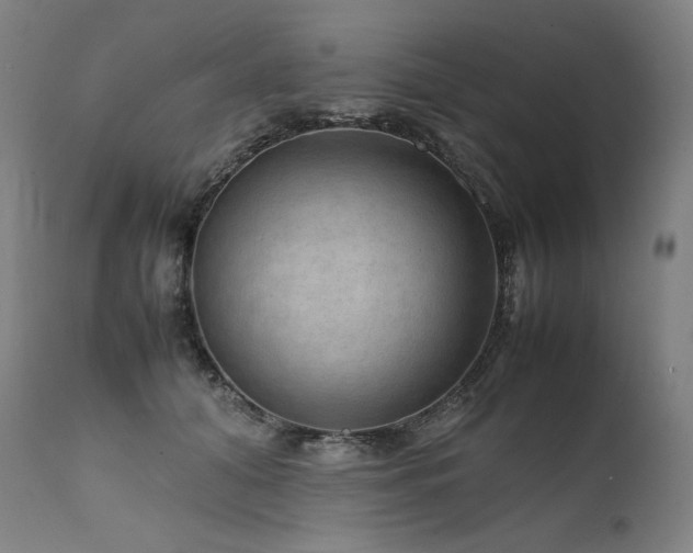 X0000111810608200907231236
