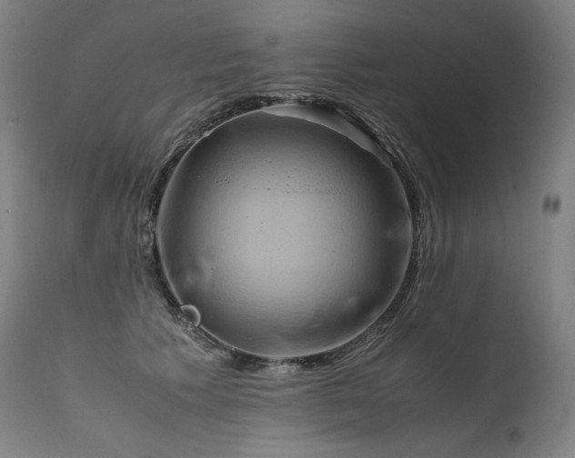 X0000111810609200907231236