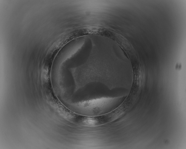 X0000111810610200907231236
