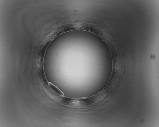 X0000111810611200907231236