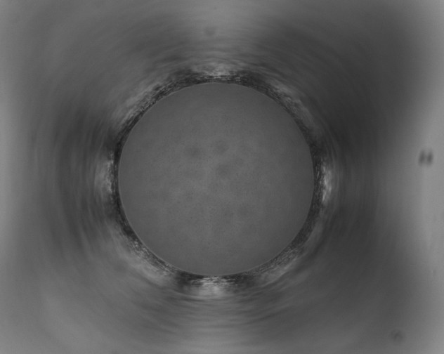 X0000111810612200907231236