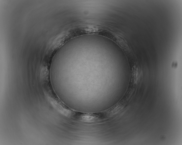 X0000111810614200907231236