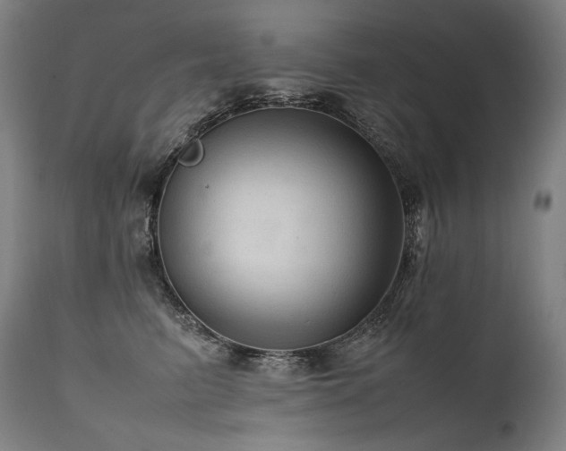 X0000111810615200907231236