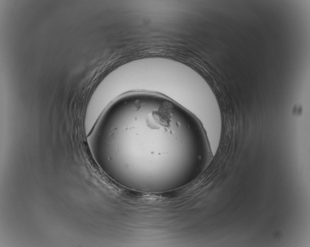 X0000111810617200907231236