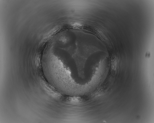 X0000111810618200907231235