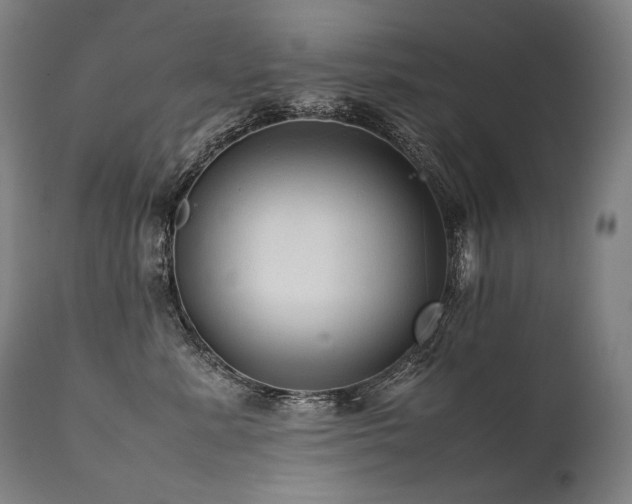 X0000111810619200907231235