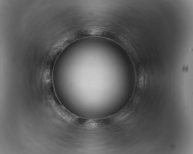 X0000111810620200907231235