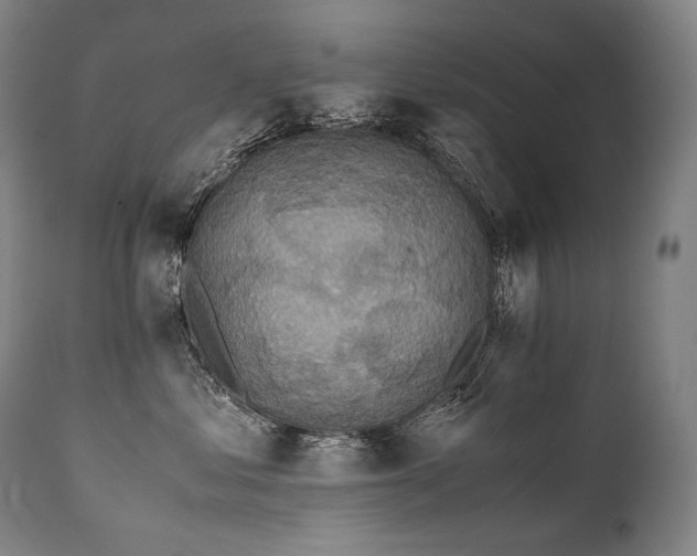 X0000111810621200907231235