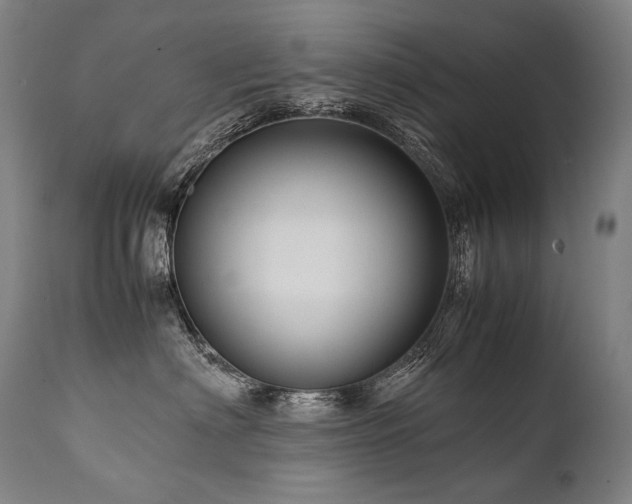X0000111810622200907231235