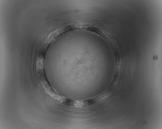 X0000111810623200907231235
