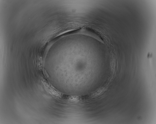 X0000111810624200907231235