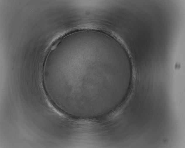 X0000111810625200907231235