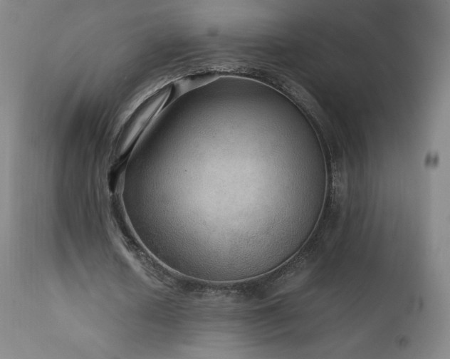 X0000111810626200907231235