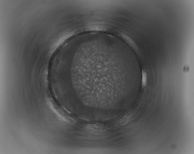 X0000111810627200907231235