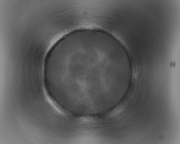 X0000111810630200907231235