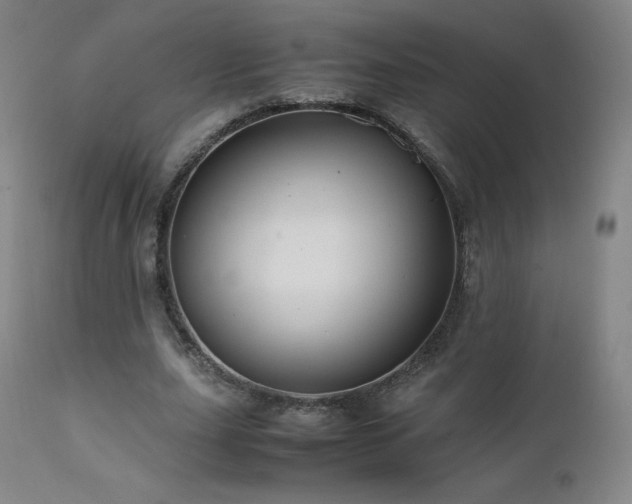X0000111810631200907231235
